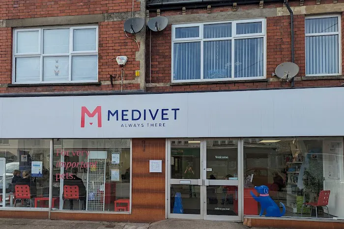 Medivet Dinas Powys Picture 3