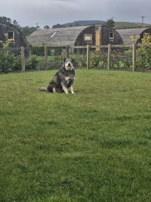 Medivet Dinas Powys Picture 10