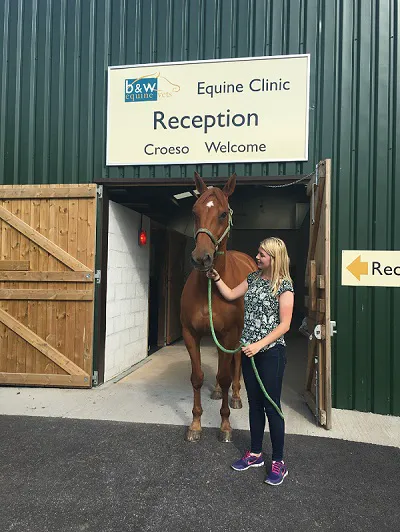 South Wales Equine Vets - Cardiff Picture 4