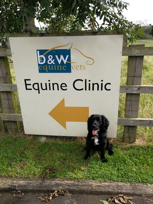 South Wales Equine Vets - Cardiff Picture 6