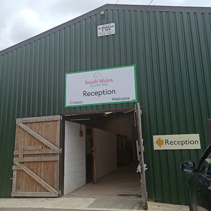 South Wales Equine Vets - Cardiff Picture 7