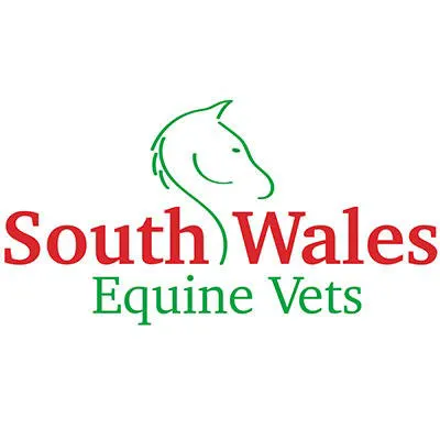 South Wales Equine Vets - Cardiff Picture 10