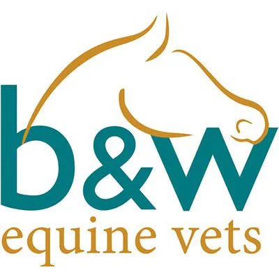 South Wales Equine Vets - Cardiff Picture 9