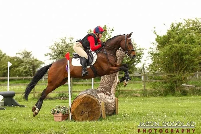 Hird and Partners - Sheffield Equine Clinic Picture 3