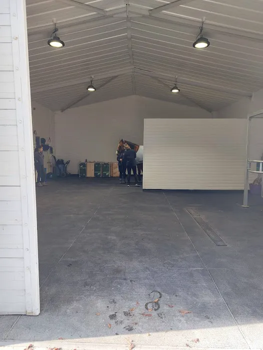 Hird and Partners - Sheffield Equine Clinic Picture 4