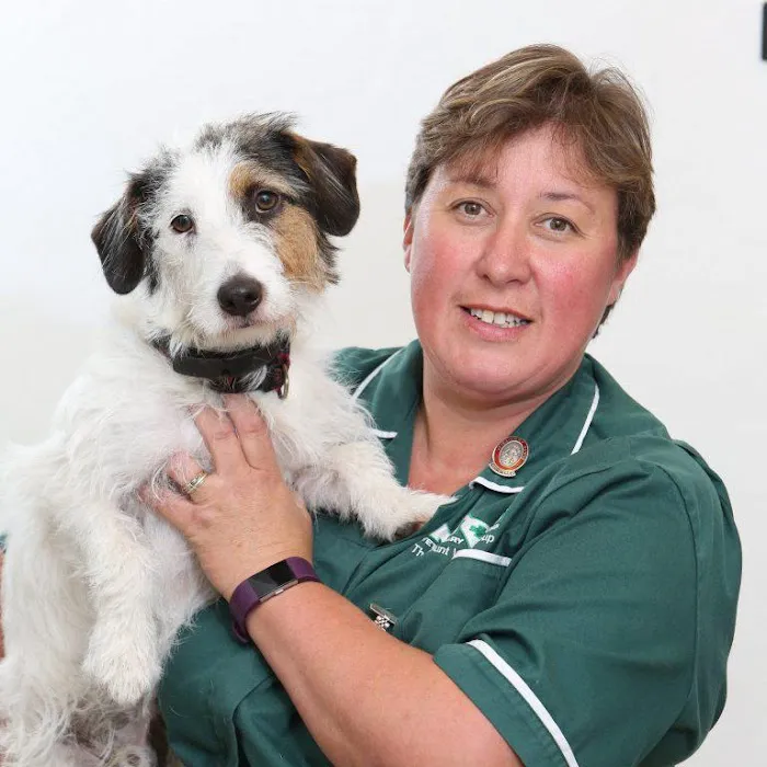 The Minster Veterinary Practice, Mount Branch Picture 2