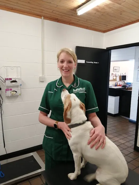 The Minster Veterinary Practice, Mount Branch Picture 8