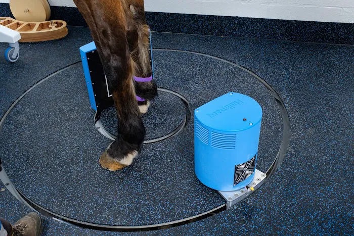 Rainbow Equine Hospital Picture 4
