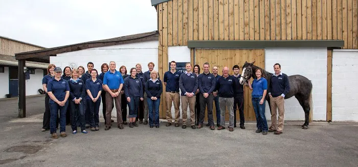 Rainbow Equine Hospital Picture 7