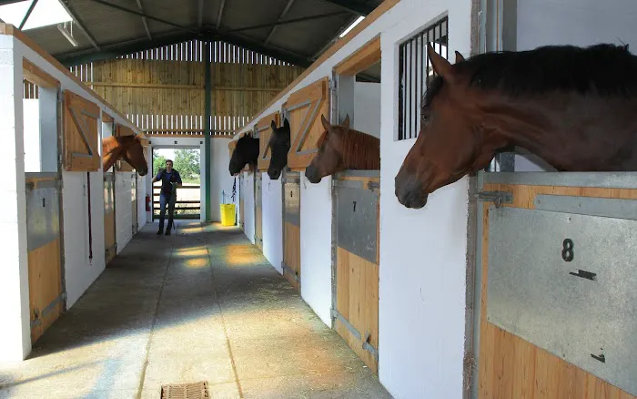 Rainbow Equine Hospital Picture 8