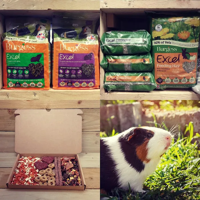 The Pet Store Pickering Ltd Picture 6