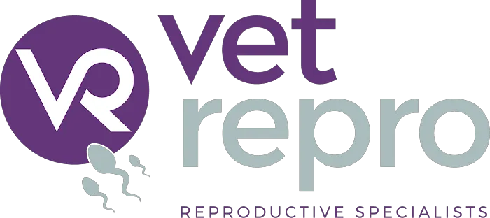 Vet Repro Picture 2
