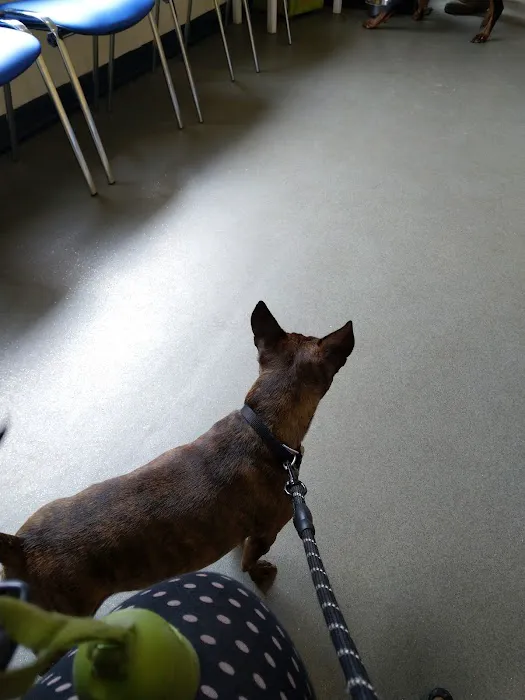 Battle Flatts Veterinary Clinic - Norton Picture 3