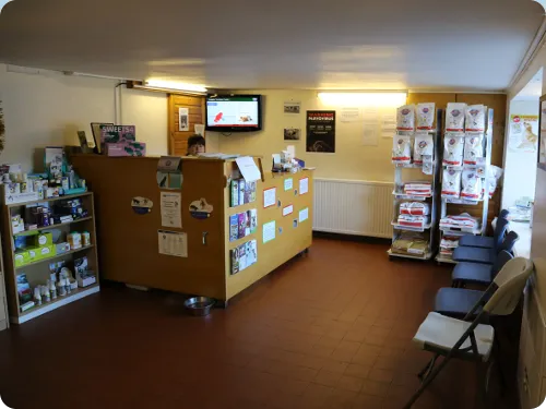 Ryedale Vets Pickering Picture 3