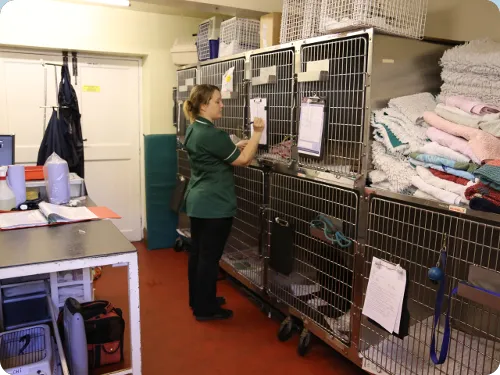 Ryedale Vets Pickering Picture 5