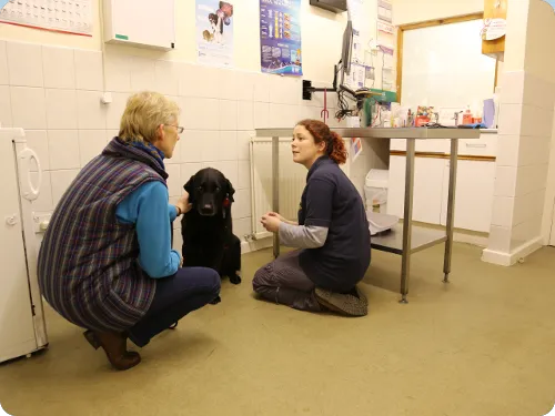 Ryedale Vets Pickering Picture 10