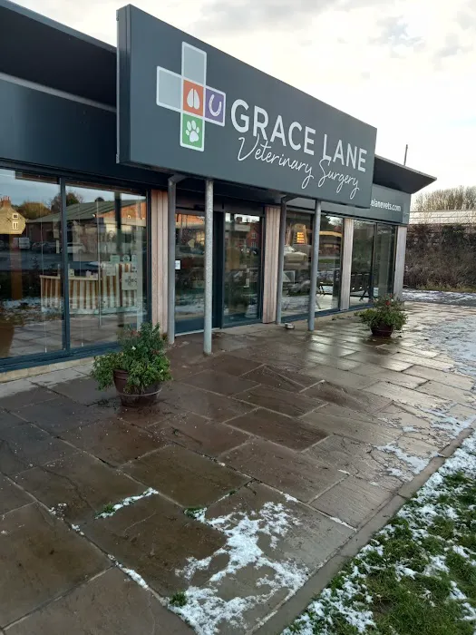 Grace Lane Vets Picture 8
