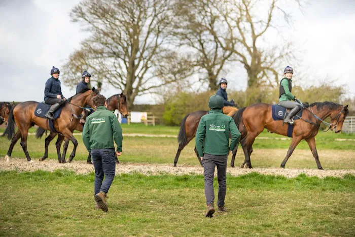 Minster Equine Practice, Malton Picture 5