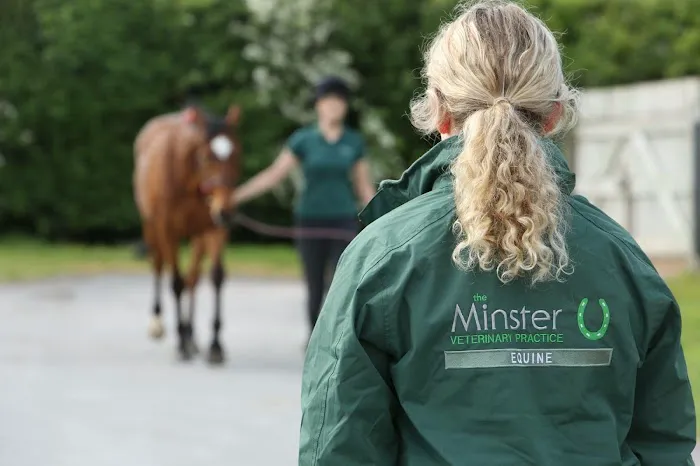 Minster Equine Practice, Malton Picture 2
