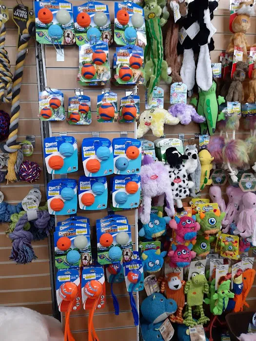 Welland Valley Feeds Ltd Picture 5