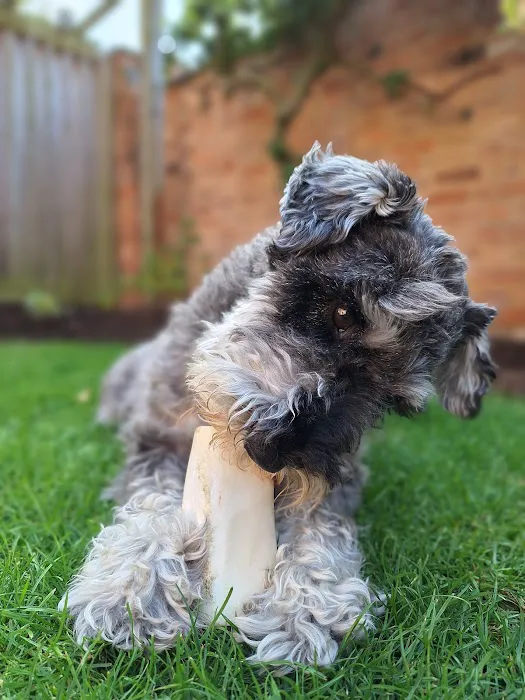 Pets at Home Market Harborough Picture 3