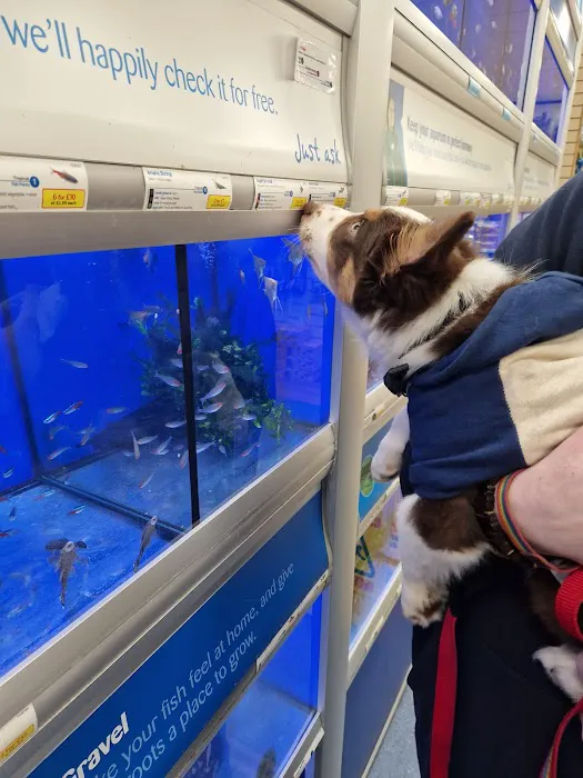 Pets at Home Market Harborough Picture 5