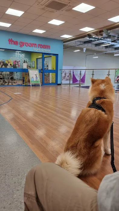 Pets at Home Market Harborough Picture 7