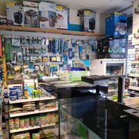 Kettering Aquatics ico