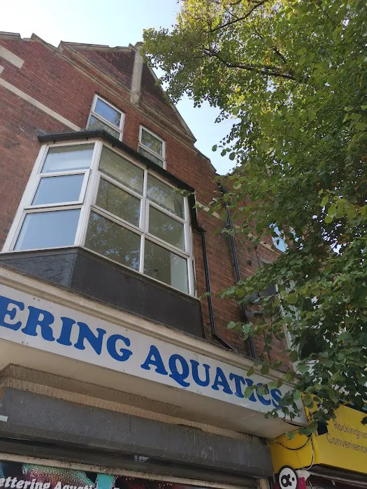 Kettering Aquatics Picture 3