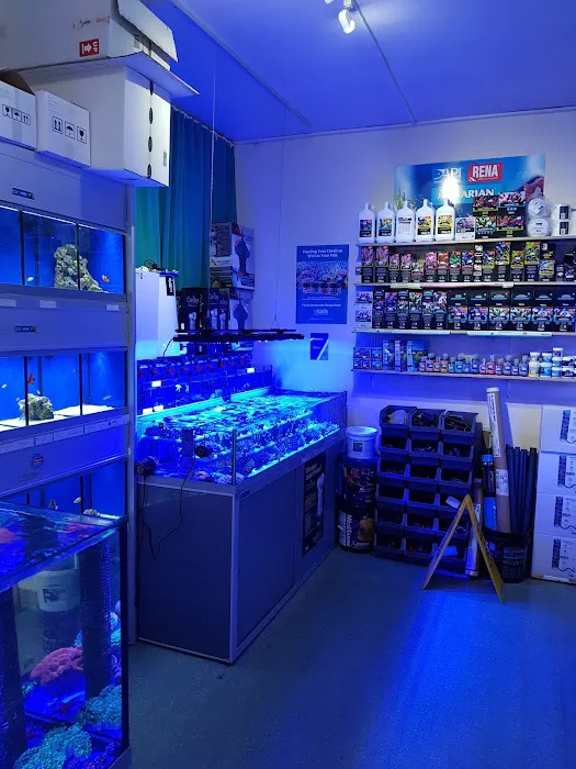 Kettering Aquatics Picture 2