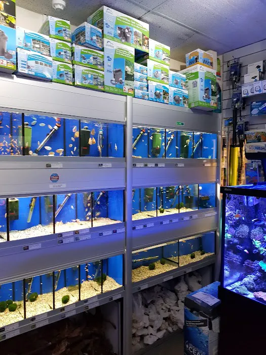 Kettering Aquatics Picture 5