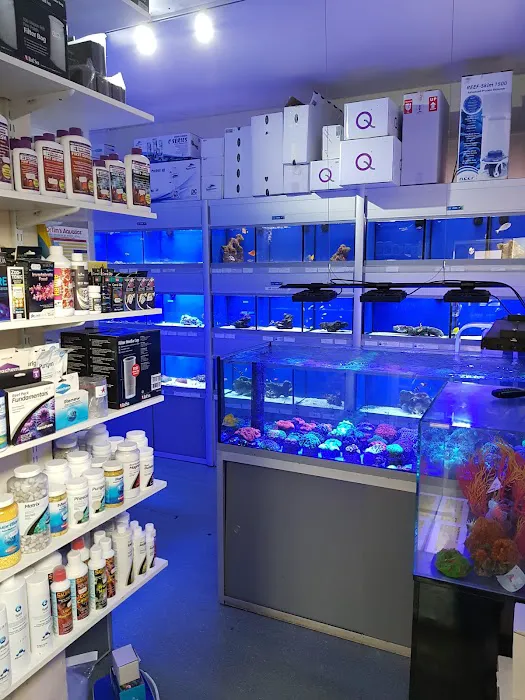 Kettering Aquatics Picture 9