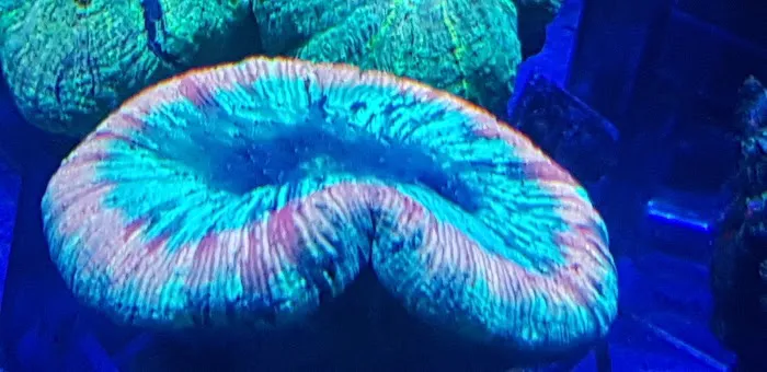 Kettering Aquatics Picture 8