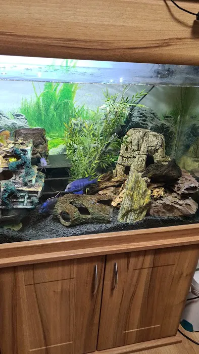 Kettering Aquatics Picture 10