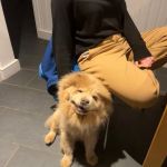 Shuttleworth Veterinary Group