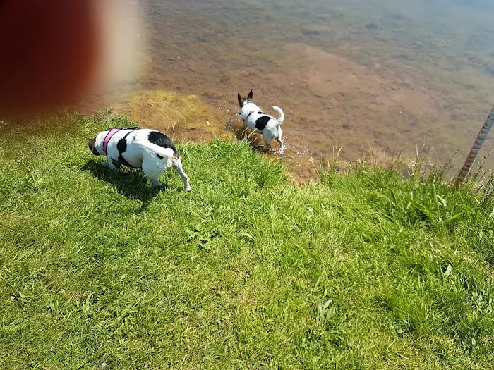 Sheffield PDSA Pet Hospital Picture 4