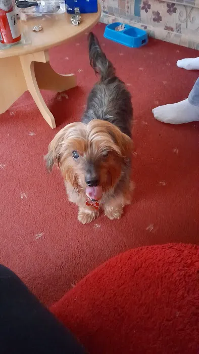 Sheffield PDSA Pet Hospital Picture 6