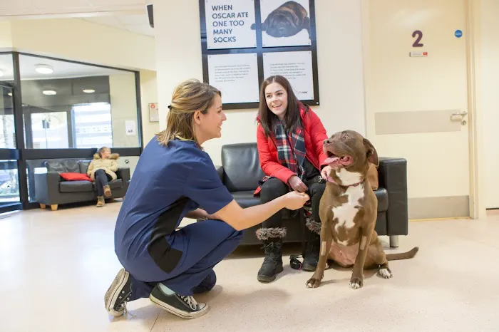 Vets Now Sheffield Picture 2