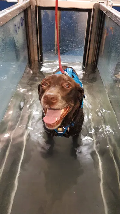 Muppets Canine Therapy Picture 2