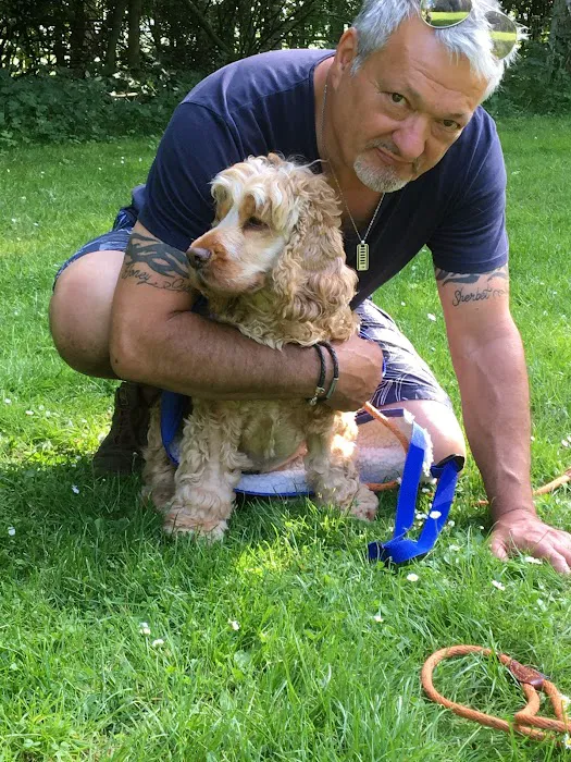 Muppets Canine Therapy Picture 4