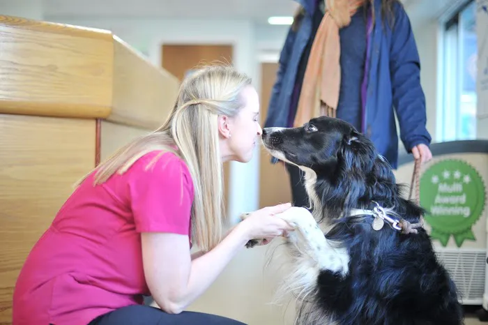 Abbeymoor Veterinary Centres Picture 3