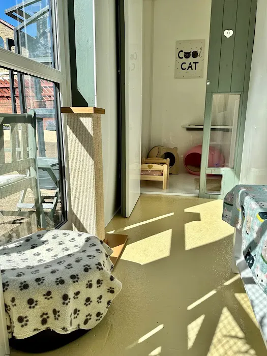 Hillsborough Cat Hotel Picture 1