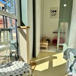 Hillsborough Cat Hotel