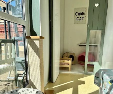 Hillsborough Cat Hotel