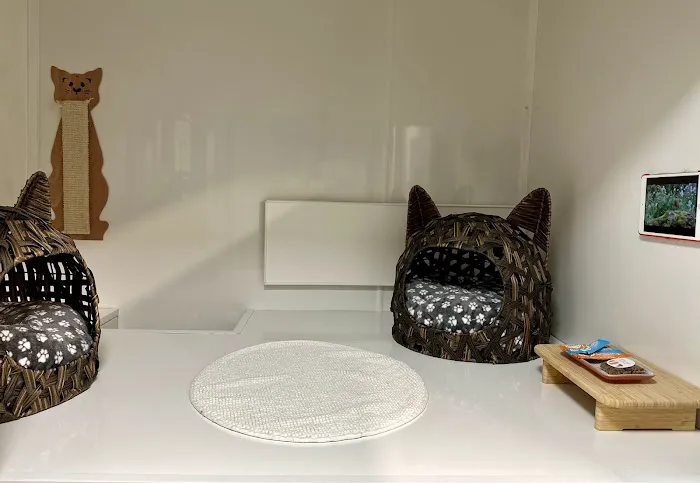 Hillsborough Cat Hotel Picture 3