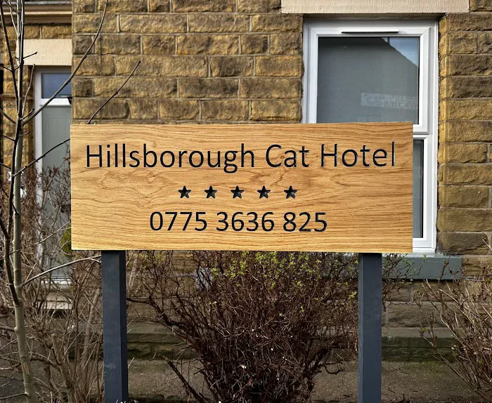 Hillsborough Cat Hotel Picture 8