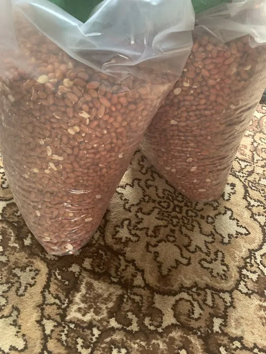 Chubby Mealworms Picture 2