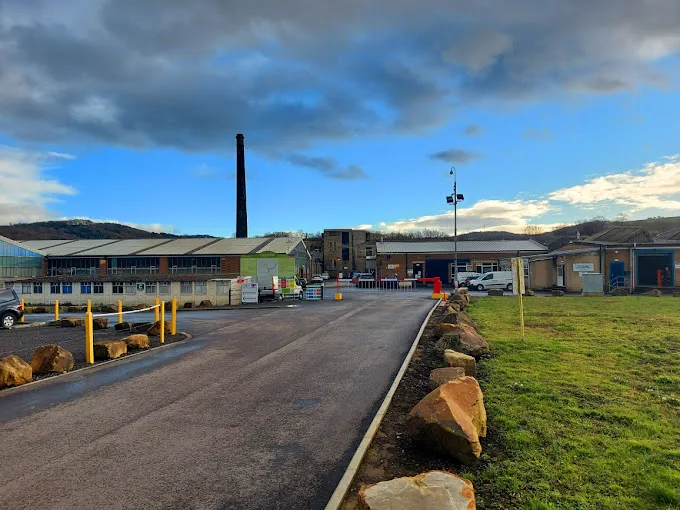 Chubby Mealworms Picture 4