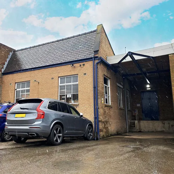 Chubby Mealworms Picture 5