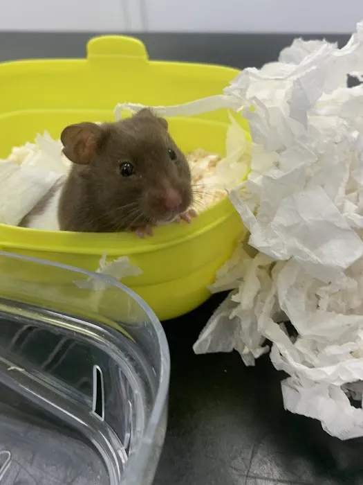 Pets at Home Huddersfield Waterloo Picture 1